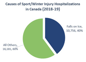 Pie Chart, Causes of Sport/Winter Injury Hospitalizations in Canada (2018-2019)